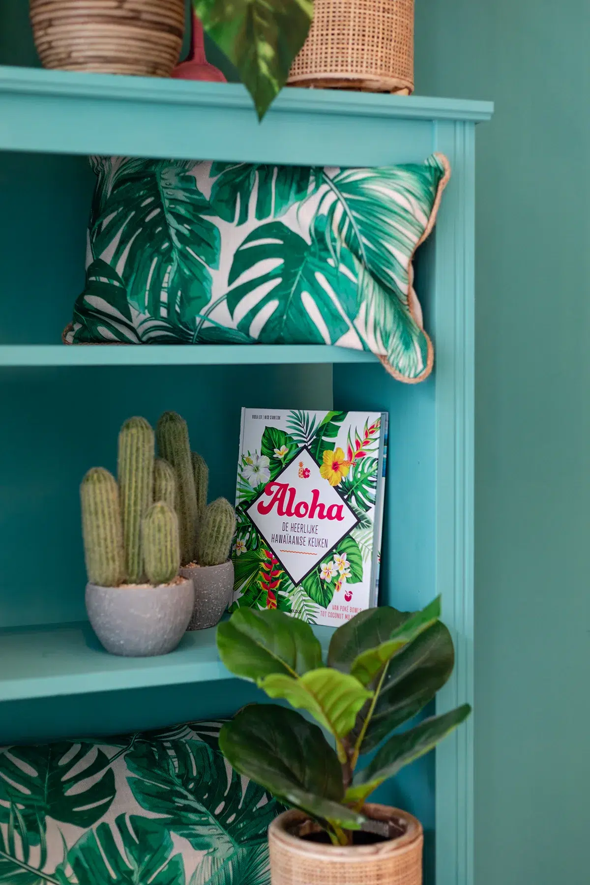 Mintgroene kast met daarin allerlei planten, zoals een cactus. In de kast staat ook een kookboek. Horeca fotografie door Wendy Pronk van DeedyLicious voor horecazaak in Amsterdam.